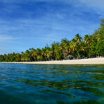 Empty beach with a row of deck chairs and palm trees