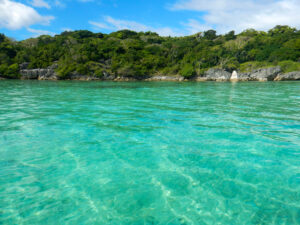 Clear turquoise water with green island in the background