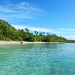 Empty beach lined with palm trees, photo taken from the water