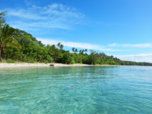 Empty beach lined with palm trees, photo taken from the water