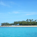 Small sandy island with a central cluster of palm trees