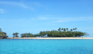 Small sandy island with a central cluster of palm trees