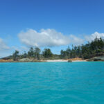 Sheltered beach with blue water foreground, pine trees and blue sky