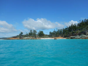 Sheltered beach with blue water foreground, pine trees and blue sky