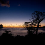 Silhouette of trees against a blue sunset over dark purple sea