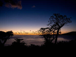 Silhouette of trees against a blue sunset over dark purple sea