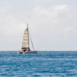 Catamaran with one sail up moving across blue ocean