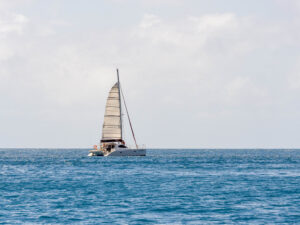 Catamaran with one sail up moving across blue ocean