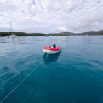 Seagull perched on the motor of a red dinghy in blue water