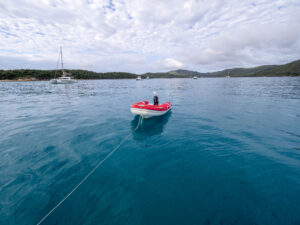 Seagull perched on the motor of a red dinghy in blue water