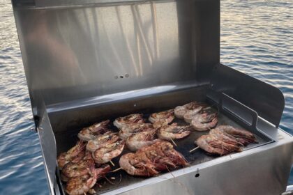 Prawn skewers cooking on an open BBQ