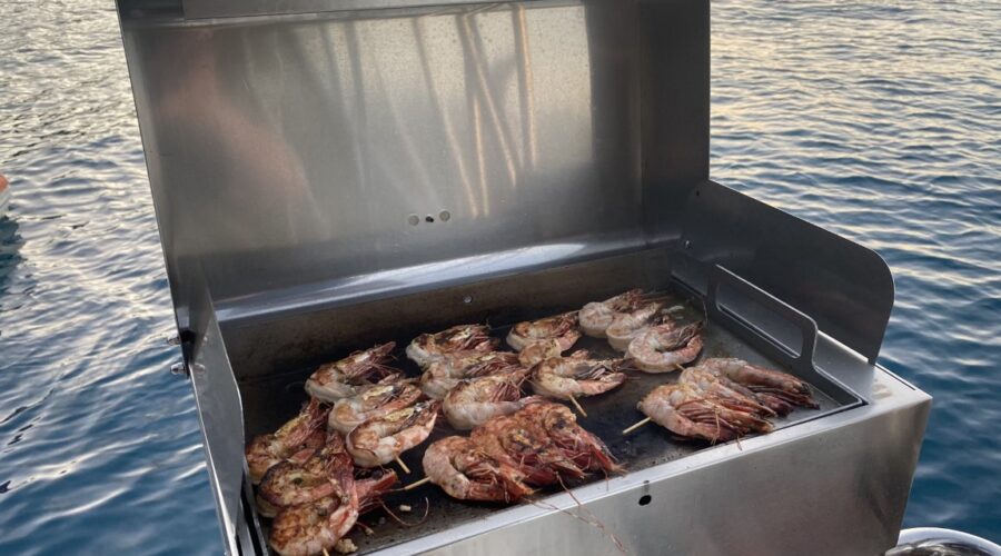 Prawn skewers cooking on an open BBQ